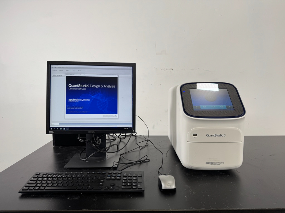 Image of Applied Biosystems QuantStudio 3 Real Time PCR System